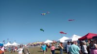 Kites Flying
