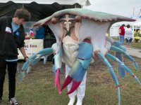 Crab on a Stick