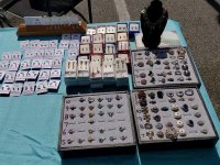 Rings & Earrings