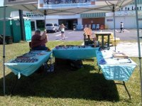 Windy Day @ Moyock Marketplace