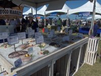 Some Local Seafood