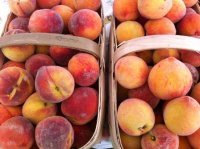 Peaches